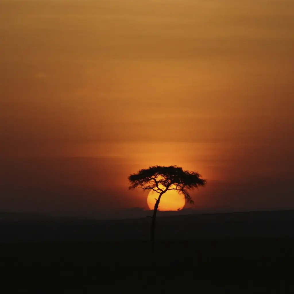 Amanecer en Kenia y Tanzania