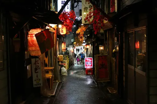 [91025] Japón (Mikatour)