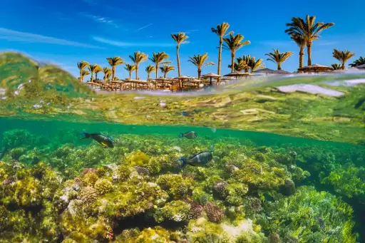 Egipto y Dubái con Joyas del Mar Rojo 2026 