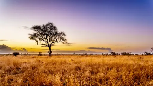 Tesoros del Sur de África