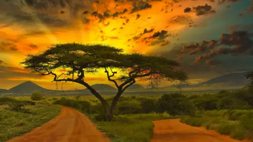 Colores de África