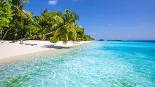 Vacaciones en Fiji